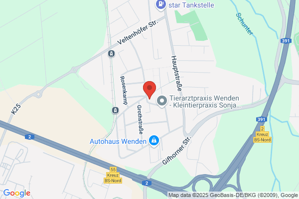 Tec Transfer GmbH