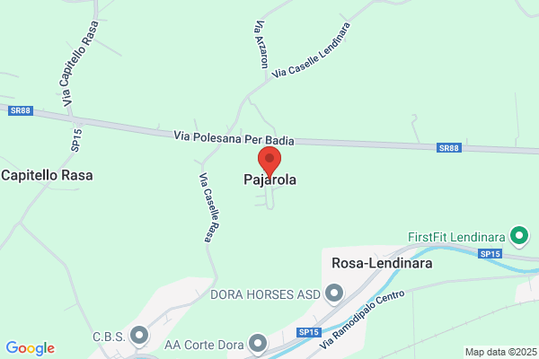 Pajarola, Schaefer und Raeber
