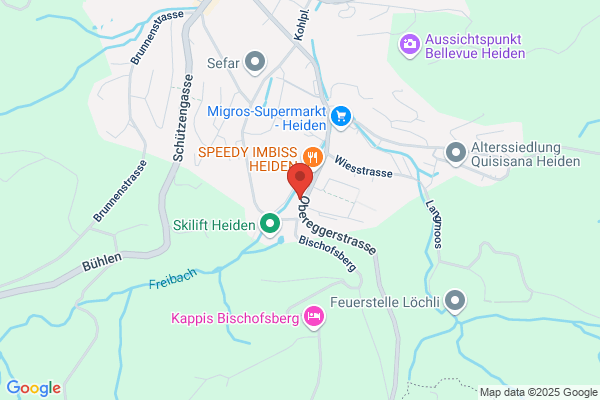 Automation Heiden AG