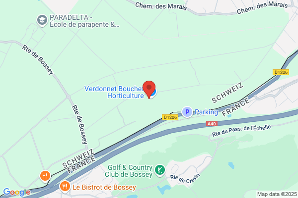 Promoflor