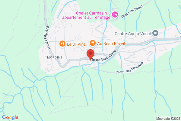 Collège Alpin SA