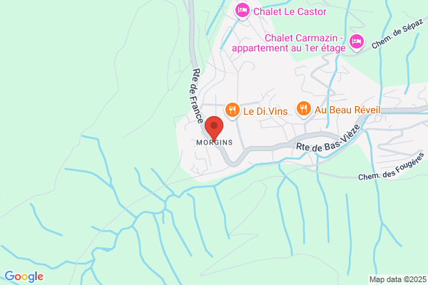 Télémorgins SA
