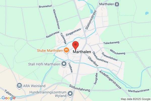 Blumen Vergissmeinnicht