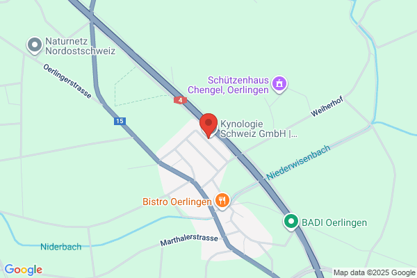 Atelier Goldner Schnitt AG