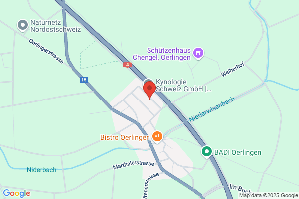 Schmid René Impuls consulting & arts