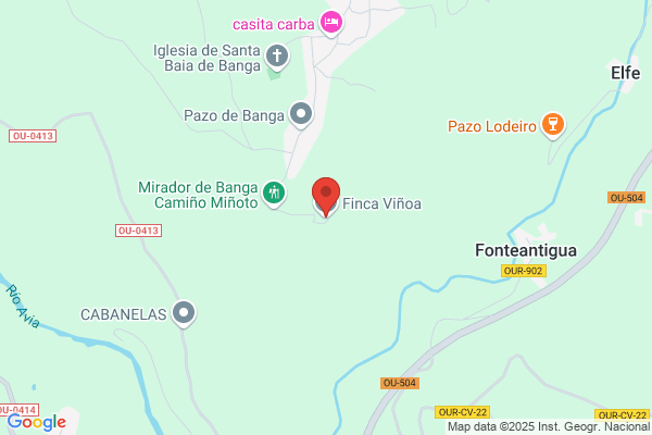 VINACOR RODRIGUEZ BLANCO