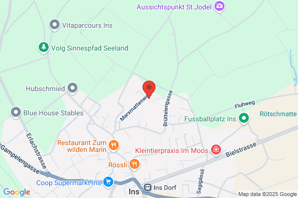 Zingarello GmbH Ins