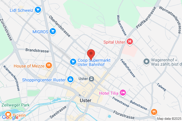 Ring Treuhand AG