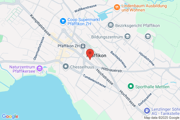 Stiftung zur Palme