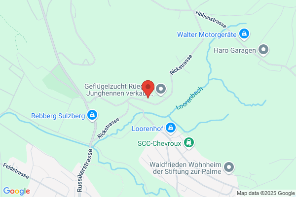 Catering-mobil.ch
