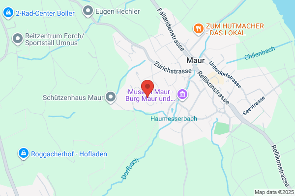 Oberhaensli Umzuege