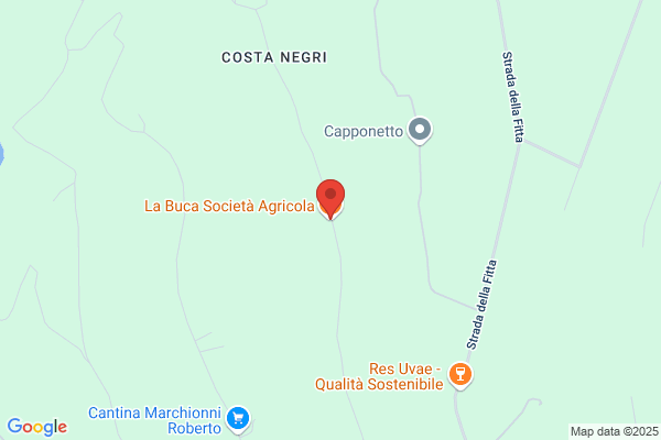 BUCA SA