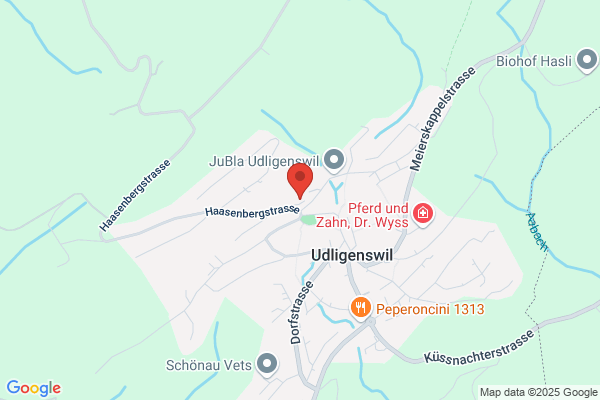 Lang Schreinerei Innenausbau AG