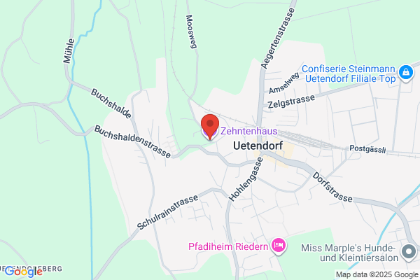 Zentrum fuer Internet-Strategie ZENIS