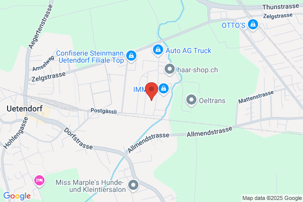Wanzenried Transporte AG