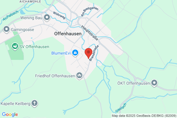 Hans Mueller Buchen