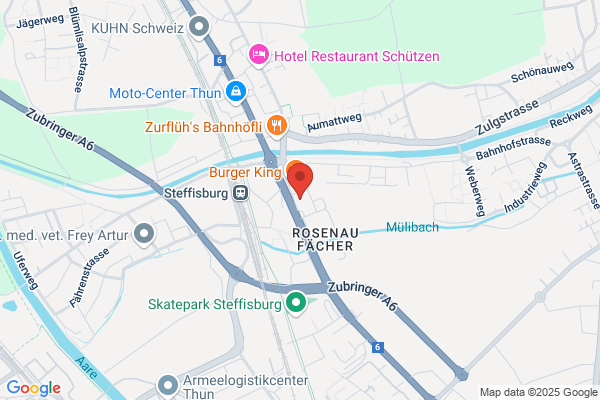 Physiotherapie Input Steffisburg