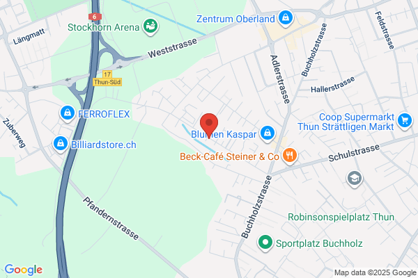 Gipsergeschaeft Ventura
