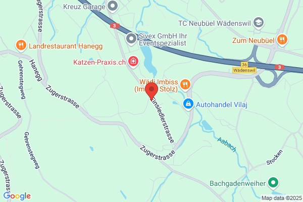 Waser Zimmerei AG