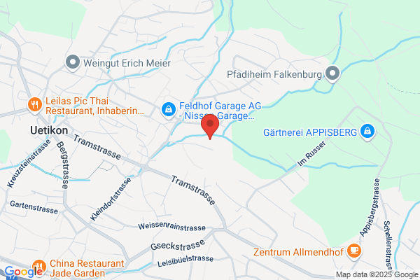 ALFRED GUNSCH CONSULTING