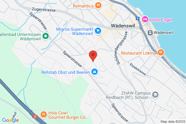 Reich + Nievergelt AG, Zweigniederlassung Wädenswil