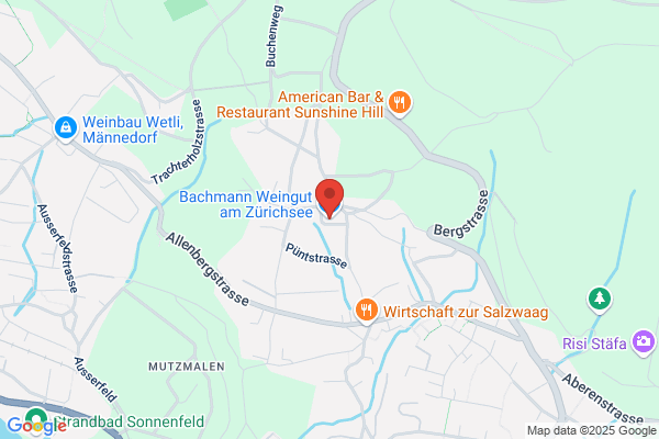HEUSSER und BACHMANN
