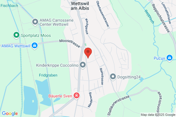 FREI Management-Beratungen AG