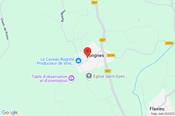 Monin et Georgy Nouvelle SA