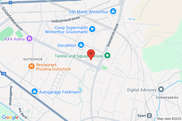 Pawo Systems AG