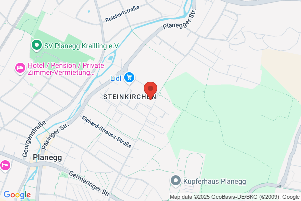 Profilog Informationslogistik