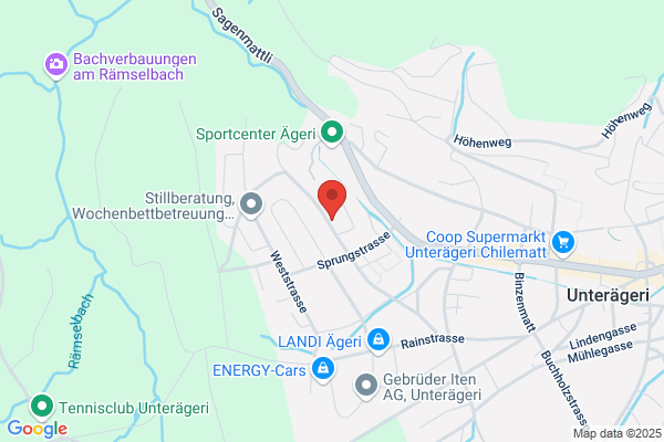 Merz Stickerei