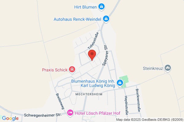 Burg Finanz AG