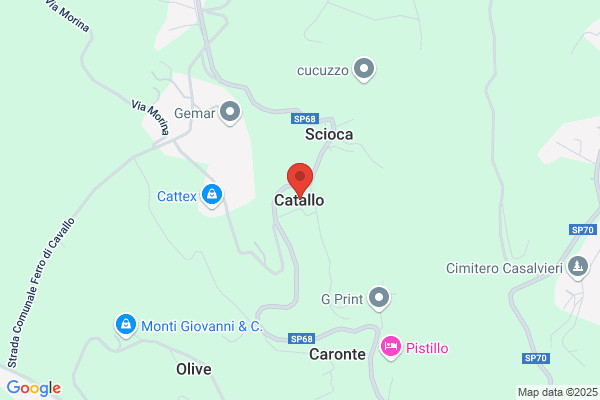 Luigi Catallo