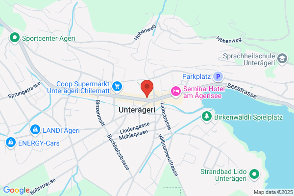Viservo Immobilien AG