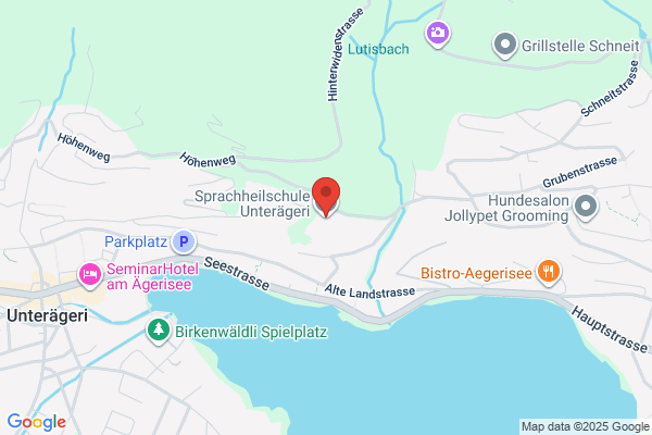LIS Studies und Services