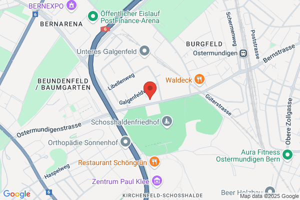 WISS Wirtschaftsinformatik- schule Schweiz