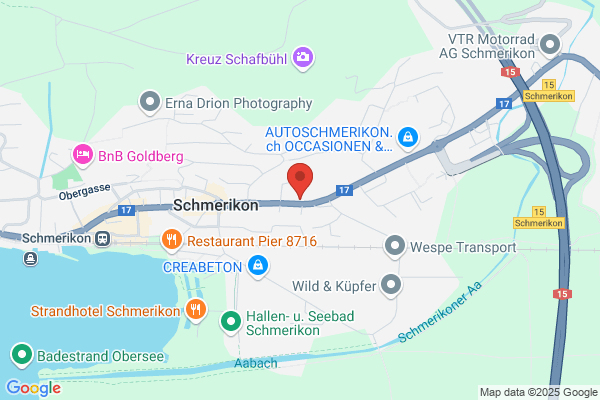 Ochsner Goldschnitt