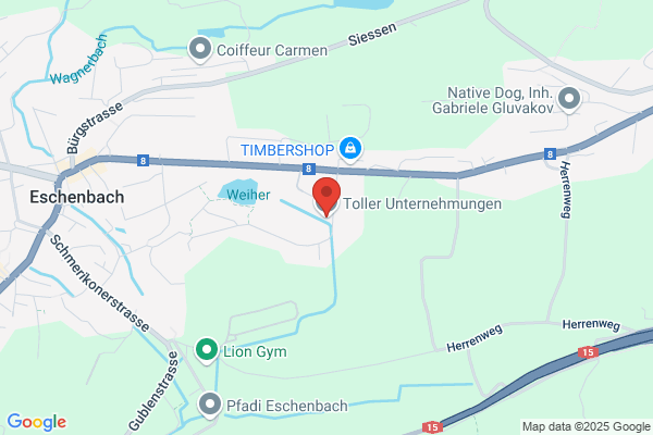 Toller Strassenbau AG