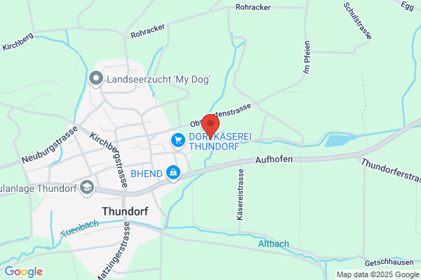 Friedberg Treuhand GmbH