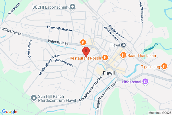 IQ und FLOW AG