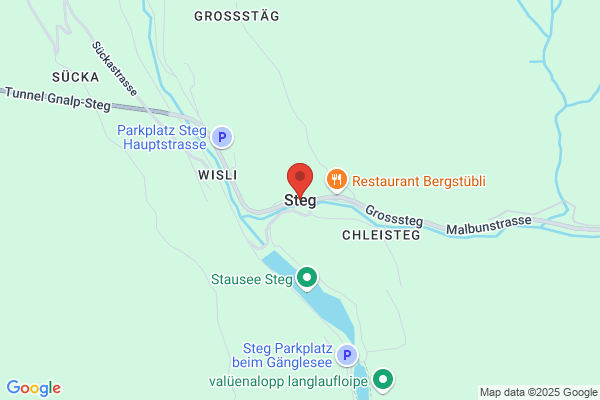 Forstmagazin Steg