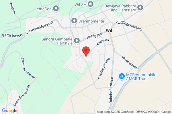 Wido Meier Aushub und Planie AG