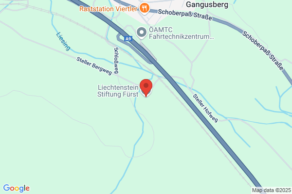 Fuerst von Liechtenstein- Stiftung