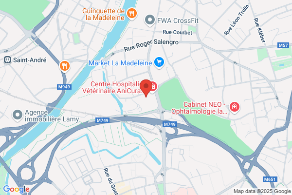 Assistance visite automobiles