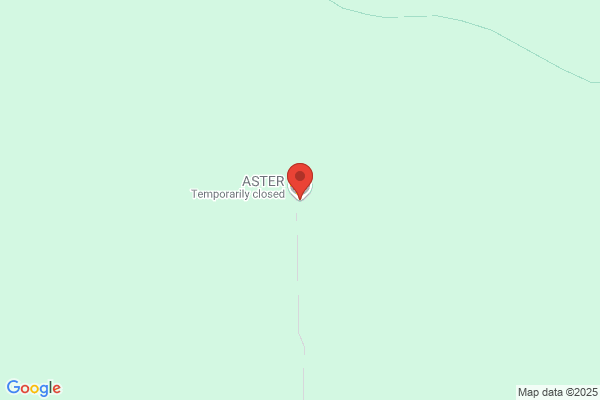 Centre Asters