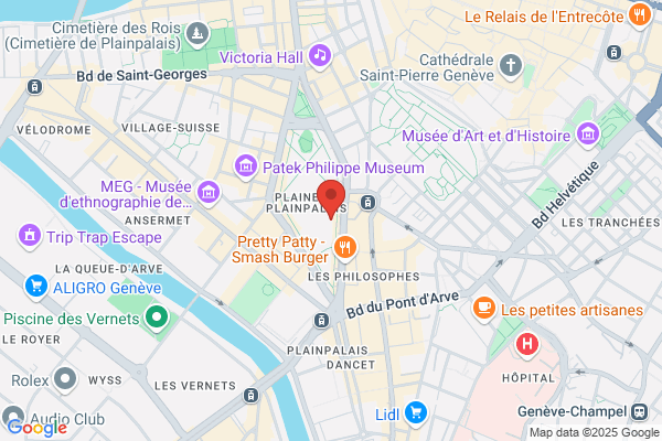 Sac à Puces