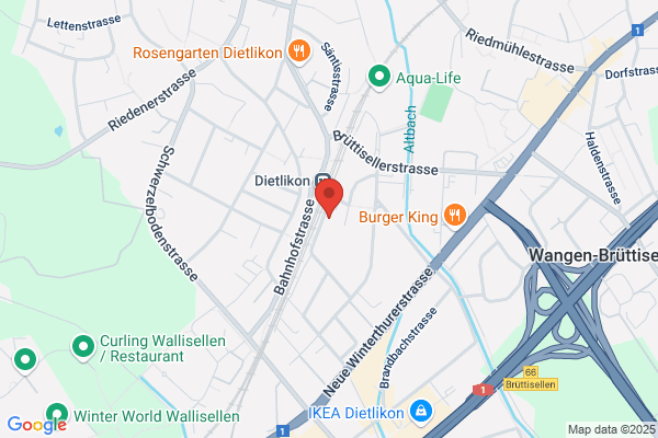 G. Hohenegger Consultant