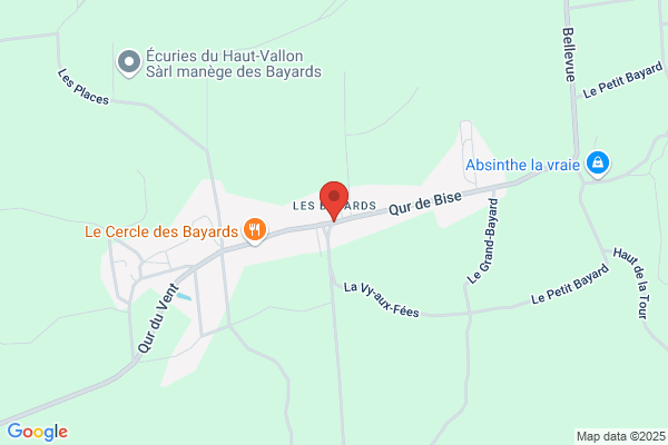 Home des Bayards