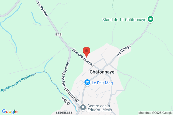 DEBONIX SA