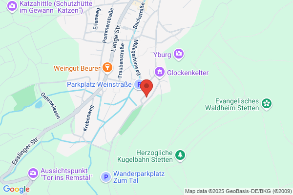 SEO Beratung und Training Baeni